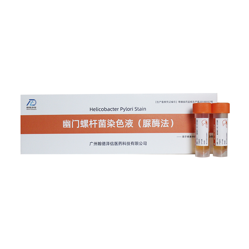Helicobacter pylori staining solution